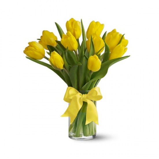 Sunny Yellow Tulips